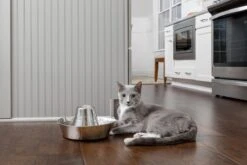 PetSafe® Seaside Stainless Steel Pet Fountain - RVS Drinkfontein Voor Katten En Kleine Honden - Water Borrelt Zacht Over De Toren - Door Het Design Van Alle Kanten Bereikbaar - 1,8 Liter - PetSafe Seaside -Huisdierbenodigdheden Korting 1200x800 218