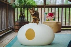 SinDesign Poopoopeedo Kattenbak - Zwart -Huisdierbenodigdheden Korting 1200x800 222