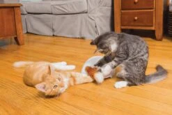 FroliCat Vossenhol - Automatische Kattenplager - Kattenspeelgoed -Huisdierbenodigdheden Korting 1200x800 224