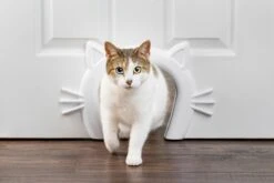PetSafe Staywell® Cat Corridor - Kattendoorgang Voor Binnenshuis - Overschilderbaar Design - Voor Katten Tot 9 Kg - Staywell Cat Corridor -Huisdierbenodigdheden Korting 1200x800 230