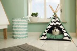 Beeztees Kioni Tipi Tent - Kattenhuis - Zwart/Wit - 50x50x70 Cm 15 Beeztees Kioni Tipi Tent - Kattenhuis - Zwart/Wit - 50x50x70 Cm -Huisdierbenodigdheden Korting 1200x800 240