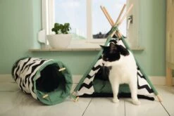 Beeztees Kioni Tipi Tent - Kattenhuis - Zwart/Wit - 50x50x70 Cm 19 Beeztees Kioni Tipi Tent - Kattenhuis - Zwart/Wit - 50x50x70 Cm -Huisdierbenodigdheden Korting 1200x800 244