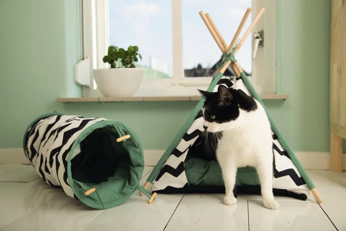 Beeztees Kioni Tipi Tent - Kattenhuis - Zwart/Wit - 50x50x70 Cm 10 Beeztees Kioni Tipi Tent - Kattenhuis - Zwart/Wit - 50x50x70 Cm - Image 8