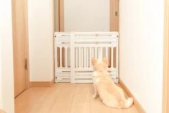 Iris Ohyama Huisdier Bariere PBR-600 - Kunststof - Wit/Beige - Uitschuifbaar -Huisdierbenodigdheden Korting 1200x800 34