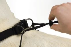 Beeztees Gentle Walker - Hondentuig - Zwart - M -Huisdierbenodigdheden Korting 1200x800 60