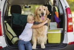 Thundershirt Antistress Vest - Dieren Antistressmiddel - Hond - Grijs - S - 43-53 Cm 20 Thundershirt Antistress Vest - Dieren Antistressmiddel - Hond - Grijs - S - 43-53 Cm -Huisdierbenodigdheden Korting 1200x800 65