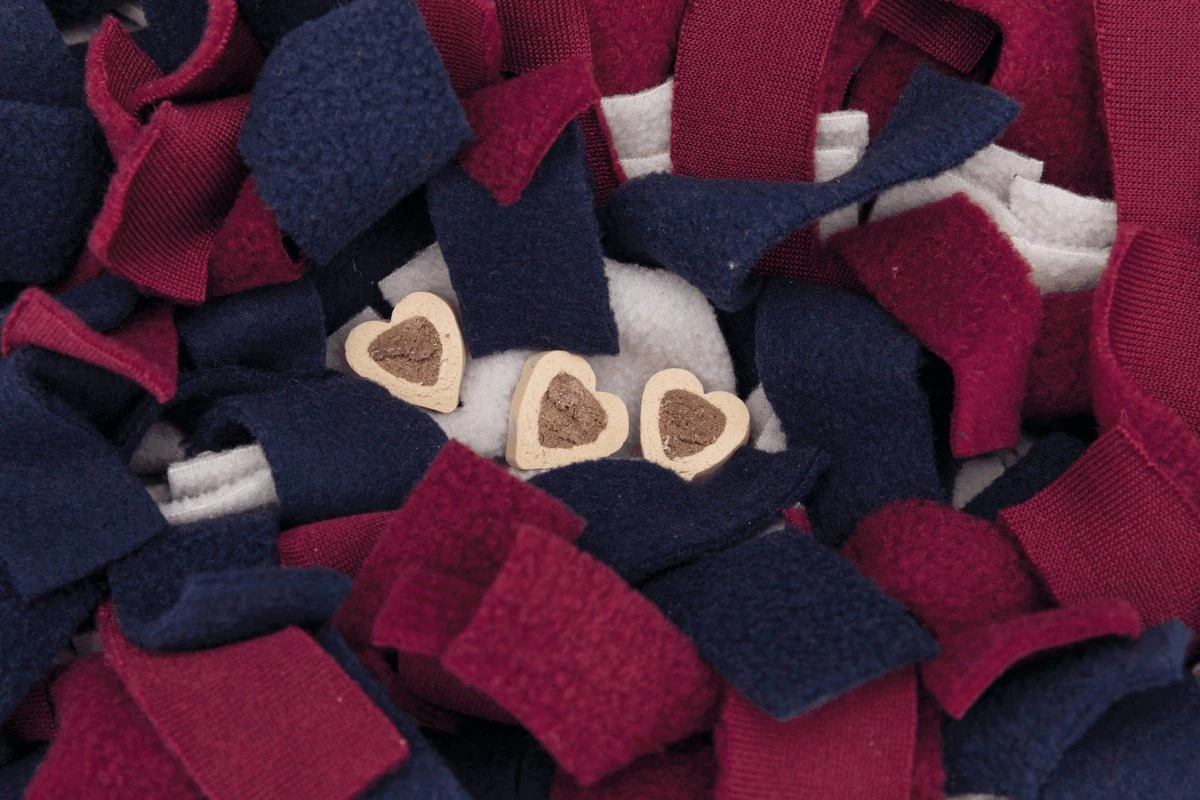 Trixie Activity Snuffelmat Assorti - 50X34 CM 12 Trixie Activity Snuffelmat Assorti - 50X34 CM - Image 10