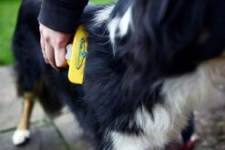 Furminator® Hond Langhaar - Vermindert Haaruitval Tot 90% - Hondenborstel - L -Huisdierbenodigdheden Korting 1200x800 8