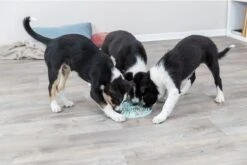 Trixie Junior Likplaat Mintgroen - 21X21 CM -Huisdierbenodigdheden Korting 1200x800 81