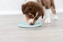 Trixie Junior Likplaat Mintgroen (15X15 CM) -Huisdierbenodigdheden Korting 1200x800 82