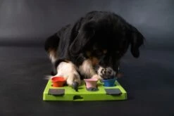 Eat Slow Live Longer Puzzel Rectangle – Intelligentie Speelgoed Voor Honden – Interactief Hondenspeelgoed – Uitdagende Hondenpuzzel – Gerecyclede Materialen – Te Vullen Met Snacks - 25x26x5 Cm - Groen -Huisdierbenodigdheden Korting 1200x800 90