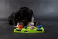 Eat Slow Live Longer Puzzel Rectangle – Intelligentie Speelgoed Voor Honden – Interactief Hondenspeelgoed – Uitdagende Hondenpuzzel – Gerecyclede Materialen – Te Vullen Met Snacks - 25x26x5 Cm - Groen -Huisdierbenodigdheden Korting 1200x800 92