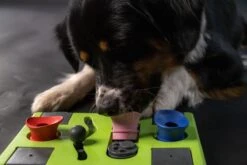 Eat Slow Live Longer Puzzel Rectangle – Intelligentie Speelgoed Voor Honden – Interactief Hondenspeelgoed – Uitdagende Hondenpuzzel – Gerecyclede Materialen – Te Vullen Met Snacks - 25x26x5 Cm - Groen -Huisdierbenodigdheden Korting 1200x800 93