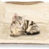 Kattenhangmat - Voor Aan Het Raam - Kattenmand - Raam - Hangmat Kat - Dieren - Kattenbed - Kattenmand - Slaapplek - Ligplaats -Huisdierbenodigdheden Korting 1200x801 13
