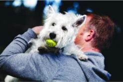 Kong Squeakair Ball - Hondenspeelgoed - 6 St 12 Kong Squeakair Ball - Hondenspeelgoed - 6 St -Huisdierbenodigdheden Korting 1200x802 6