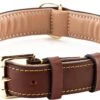 Brute Strength - Luxe Leren Halsband Hond - Bruin - L - (46 - 53 Cm) X 3,5cm
