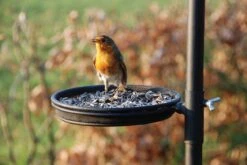 Voederstation Voor Vogels - 185cm Hoog - 4 Feeders + 1 Waterbakje + 1 Voedertray - Inclusief Grondpin 7 Voederstation Voor Vogels - 185cm Hoog - 4 Feeders + 1 Waterbakje + 1 Voedertray - Inclusief Grondpin -Huisdierbenodigdheden Korting 1200x803 17