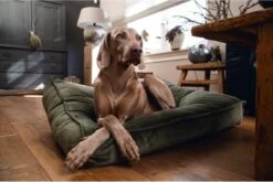 Designed By Lotte Nalino - Hondenkussen - Fluweel - Groen - 100x70x15 Cm 5 Designed By Lotte Nalino - Hondenkussen - Fluweel - Groen - 100x70x15 Cm -Huisdierbenodigdheden Korting 1200x804 4