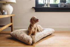 Designed By Lotte Hondenkussen Pluche Xanti Beige 70x 50 X 5 Cm -Huisdierbenodigdheden Korting 1200x804 6