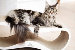 MyKotty LUI - Krabpaal - Wit - 75 X 25 Cm 12 MyKotty LUI - Krabpaal - Wit - 75 X 25 Cm -Huisdierbenodigdheden Korting 1200x806 11