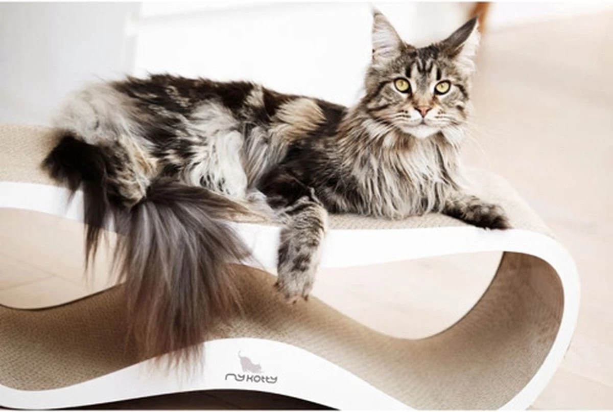 MyKotty LUI - Krabpaal - Wit - 75 X 25 Cm 6 MyKotty LUI - Krabpaal - Wit - 75 X 25 Cm - Image 4