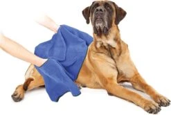 Duvo+ Hondenhanddoek 70 X 100 Cm -Huisdierbenodigdheden Korting 1200x808