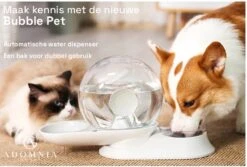 AdomniaGoods - Automatische Katten Voerbak - Antislip Honden Voerbak - Unique Transparant/grijs Design - Altijd Hygiënisch Schoon Water! -Huisdierbenodigdheden Korting 1200x810 9