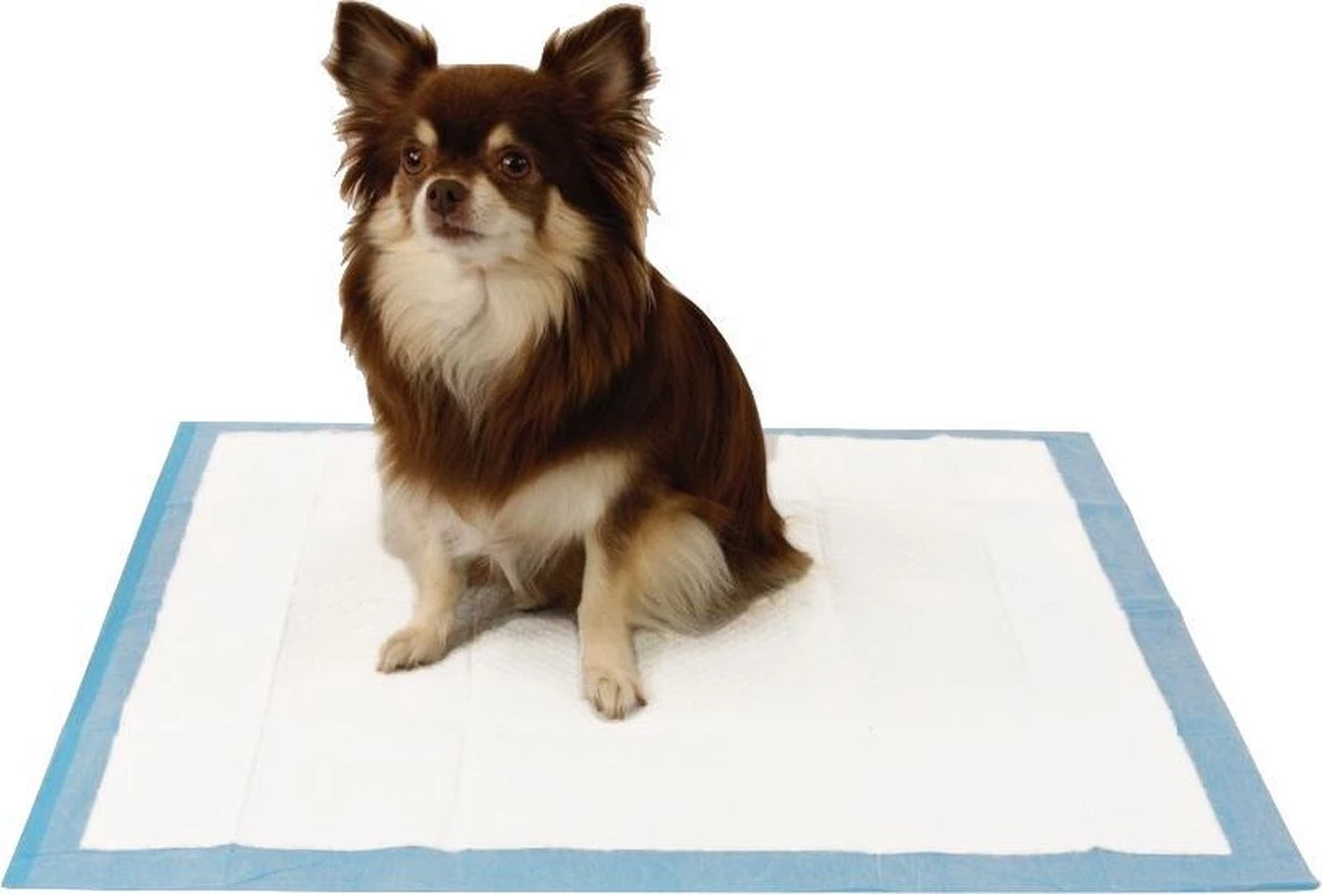 Easypets Puppy Training Pads - Zindelijkheidstraining - Hondentoilet - 58 X 58 Cm - 250 Stuks 4 Easypets Puppy Training Pads - Zindelijkheidstraining - Hondentoilet - 58 X 58 Cm - 250 Stuks - Image 2