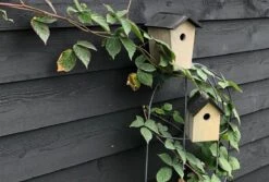 GARDEN SPIRIT Vogelhuisje Koolmees 13 X 15 X 20 Cm - Nestkast -Huisdierbenodigdheden Korting 1200x813 6