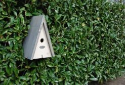 ESSCHERT DESIGN Houten Pimpelmees Nestkast Wigwam - Wit -Huisdierbenodigdheden Korting 1200x818 11