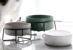 GIZMO 2x Voerbak Kat - 400 Ml - Groen - Keramische Drink- & Voerbakken Met Standaard - 13 Cm - 2 Stuks -Huisdierbenodigdheden Korting 1200x823 4