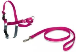 PetSafe Easy Walk® - Hondentuigje - Zwart - L - 66-91 Cm -Huisdierbenodigdheden Korting 1200x825 1