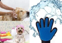 Vacht Verzorgingsborstel Voor Huisdieren - Blauw - LimitedDeals - Voor Honden Katten Konijnen Paarden - Tevens Massage Handschoen Voor Dieren! - Goed Voor De Verzorging Van De Vacht 13 Vacht Verzorgingsborstel Voor Huisdieren - Blauw - LimitedDeals - Voor Honden Katten Konijnen Paarden - Tevens Massage Handschoen Voor Dieren! - Goed Voor De Verzorging Van De Vacht -Huisdierbenodigdheden Korting 1200x825