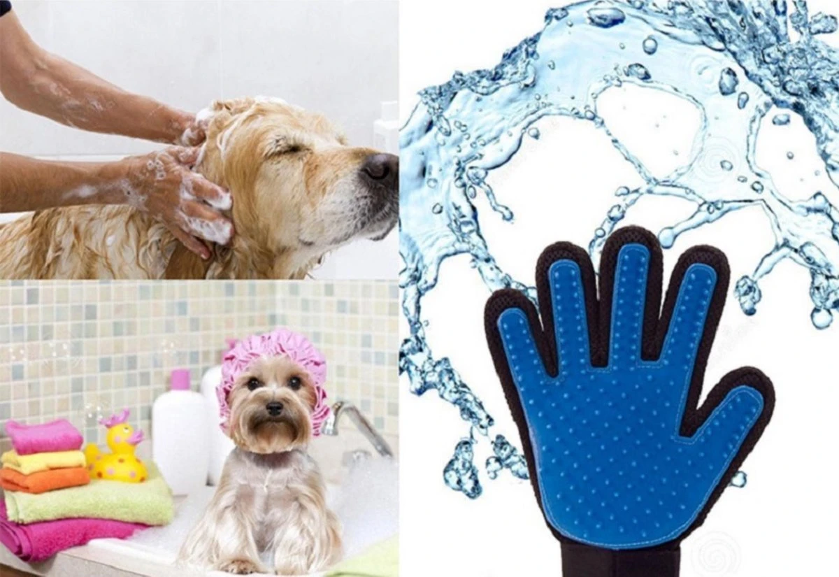 Vacht Verzorgingsborstel Voor Huisdieren - Blauw - LimitedDeals - Voor Honden Katten Konijnen Paarden - Tevens Massage Handschoen Voor Dieren! - Goed Voor De Verzorging Van De Vacht 5 Vacht Verzorgingsborstel Voor Huisdieren - Blauw - LimitedDeals - Voor Honden Katten Konijnen Paarden - Tevens Massage Handschoen Voor Dieren! - Goed Voor De Verzorging Van De Vacht - Image 3
