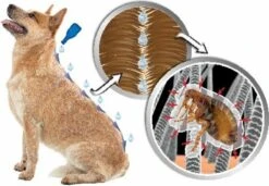 Beaphar Dimethicare Line-on Vlooien- En Tekenmiddel Hond - 15 Tot 30 Kg - 6 Pipetten -Huisdierbenodigdheden Korting 1200x831