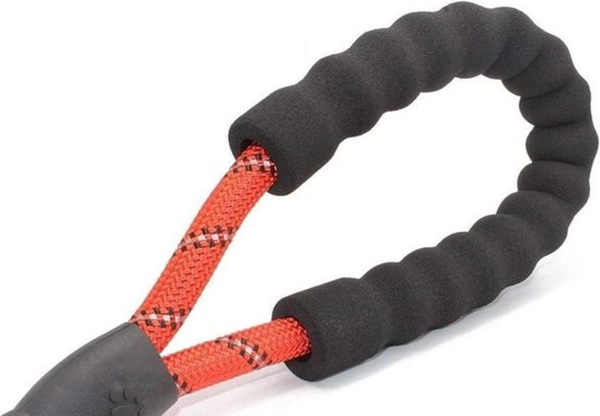 Comfortabele Hondenriem Met Gevoerd Handvat – Stevige Nylon Hondenlijn – Riem Voor Honden 5 Comfortabele Hondenriem Met Gevoerd Handvat – Stevige Nylon Hondenlijn – Riem Voor Honden - Image 3