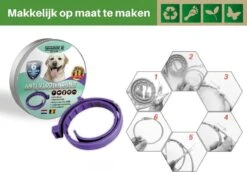 Vlooienband Voor Honden - Paars - 100% Natuurlijk - Vlooien En Teken - Geschikt Voor Alle Honden - Anti Allergie - Zonder Pesticiden -Huisdierbenodigdheden Korting 1200x837 2