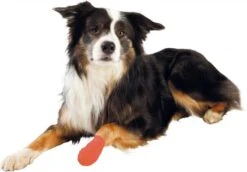 Trixie - Zelfklevend Verband - 5cm 4,5mtr - 4st -Huisdierbenodigdheden Korting 1200x838