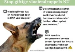 100% Natuurlijke Vlooiendruppels - Voor Grotere Honden - Van 30-40 Kg - Vlooien - Made In Holland - Zonder Schadelijke Pesticiden - Vachtdruppels -Huisdierbenodigdheden Korting 1200x839 2