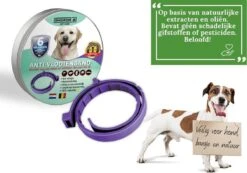 Vlooienband Voor Honden - Paars - 100% Natuurlijk - Vlooien En Teken - Geschikt Voor Alle Honden - Anti Allergie - Zonder Pesticiden -Huisdierbenodigdheden Korting 1200x841 2