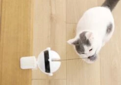 Merkloos Kattenhengel - Elektrisch Kattenspeelgoed - Kattenspeeltjes - Automatische Hengel - Kitten Speelgoed - Interactief Kattenspeelgoed - Bal - Katten - Poesjes - Kitten - Kat - Kattenbal - Kattenspeeltjes Intelligentie -Huisdierbenodigdheden Korting 1200x845 4