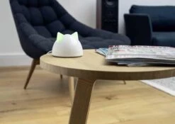 Sureflap Connect HUB -Huisdierbenodigdheden Korting 1200x848 8