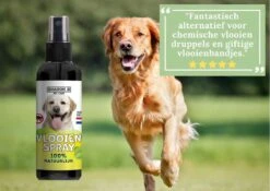 100% Natuurlijke Vlooienspray - Hond - Tegen Vlooien - 100 Ml - Vachtspray - Veilig- Verantwoord - Made In Holland -Huisdierbenodigdheden Korting 1200x851 5
