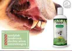 Easy Mondwater Voor Honden - 237 Ml - Tegen Stinkende Adem - Tandplak - Tandsteen - Tandvleesproblemen -Huisdierbenodigdheden Korting 1200x852 8