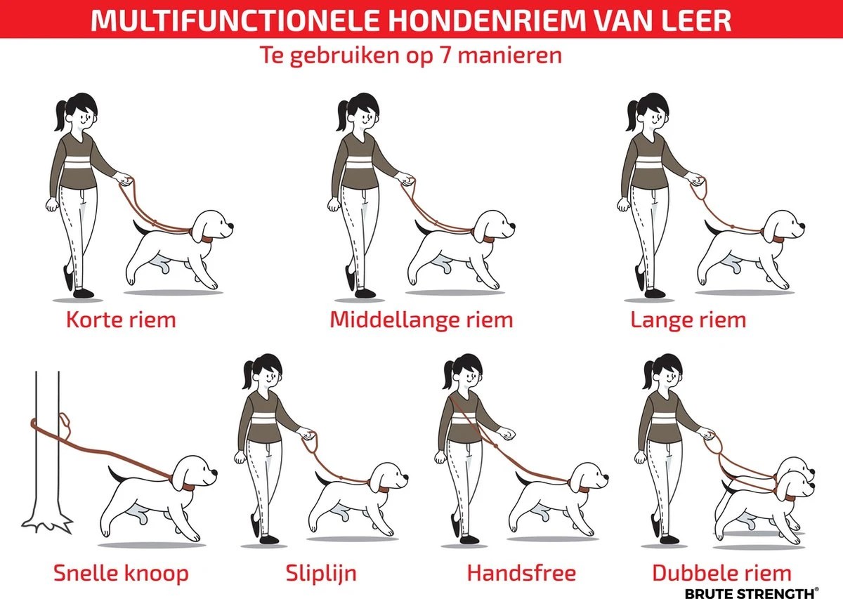 Multifunctionele Hondenriem - 220cm - Bruin - Leren Hondenriem - 100% Volnerfleer - Hondenriem Leer - Leiband Hond 6 Multifunctionele Hondenriem - 220cm - Bruin - Leren Hondenriem - 100% Volnerfleer - Hondenriem Leer - Leiband Hond - Image 4