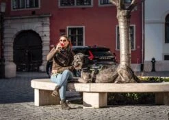 Julius K9 Julius-K9 IDC®Powertuig, 2XL - Maat 3, Zwart -Huisdierbenodigdheden Korting 1200x856 2