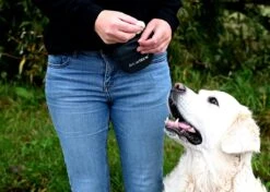 Show Tech - Clip On Treat Pouch - Beloningstasje Voor Honden - Beloningszakje - Heuptas Honden Training -Huisdierbenodigdheden Korting 1200x856 6