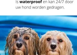 Merkloos Vlooienband Hond | Vlooien | Luizen | Teken | Mijten | 8 Maanden Bescherming | Honden -Huisdierbenodigdheden Korting 1200x859 2