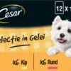 Cesar Selectie In Gelei Maaltijdzakjes Honden Natvoer - Vlees En Groenten In Gelei - 48 X 100g