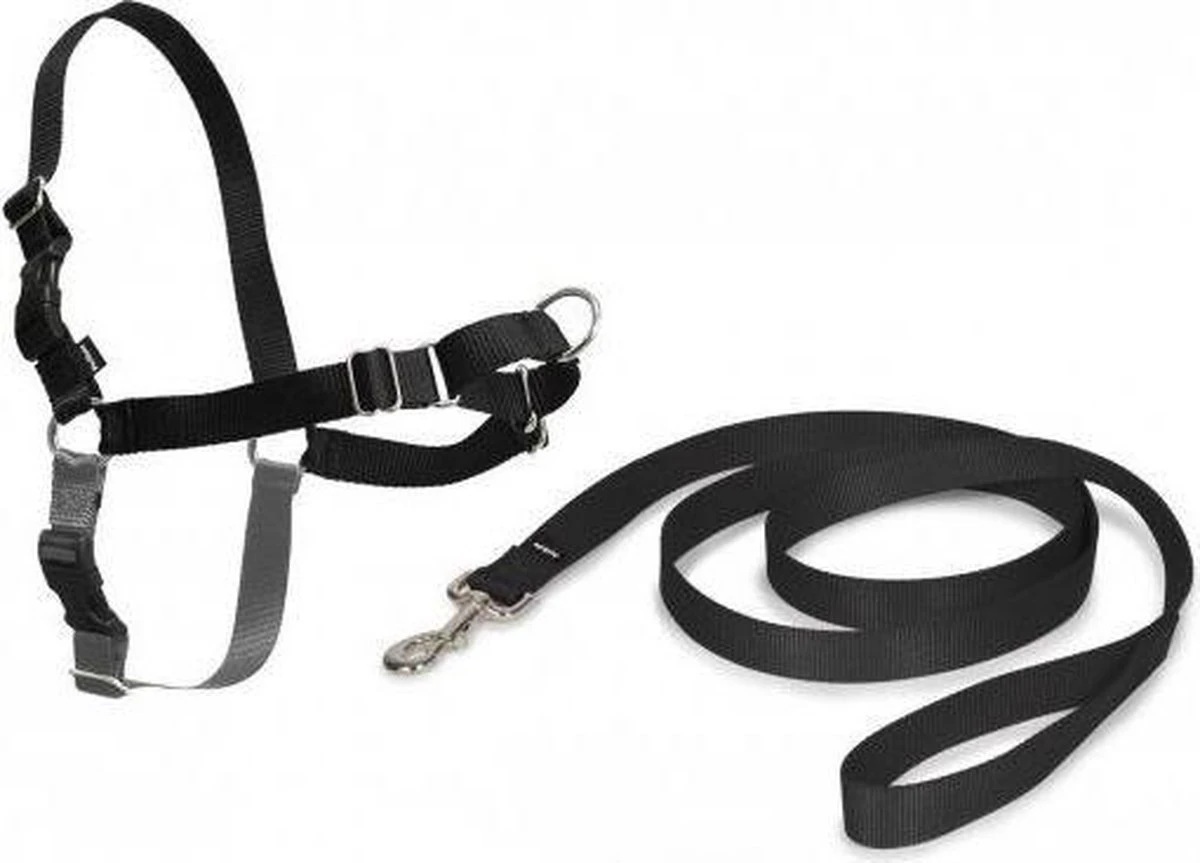 Petsafe Easy Walk® Deluxe Harness - Hondentuigje - Blauw - M - 1,8 M 15 Petsafe Easy Walk® Deluxe Harness - Hondentuigje - Blauw - M - 1,8 M - Image 13